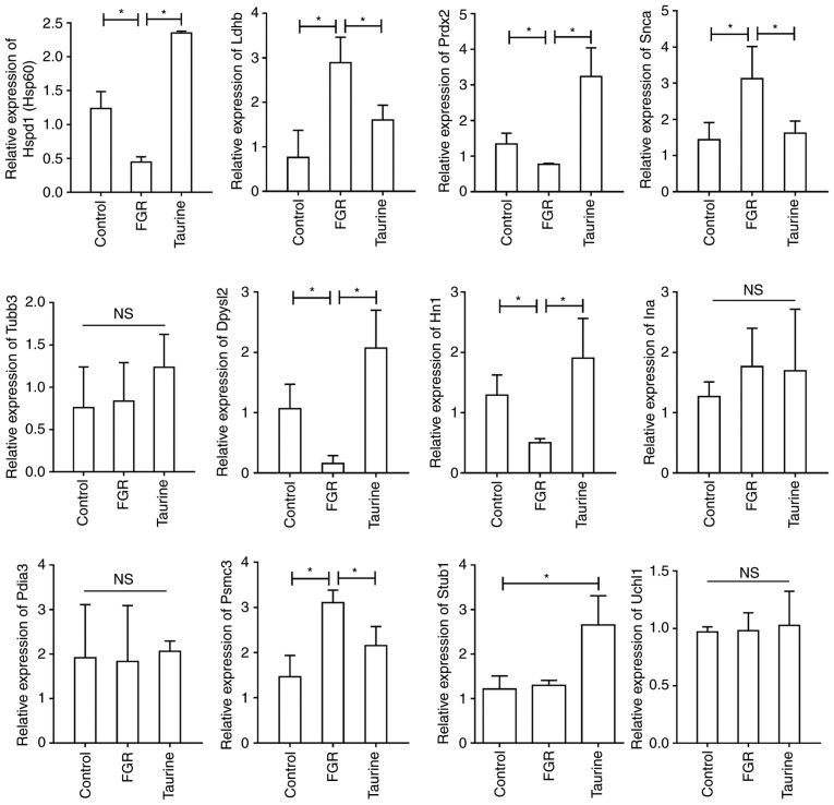 Figure 10