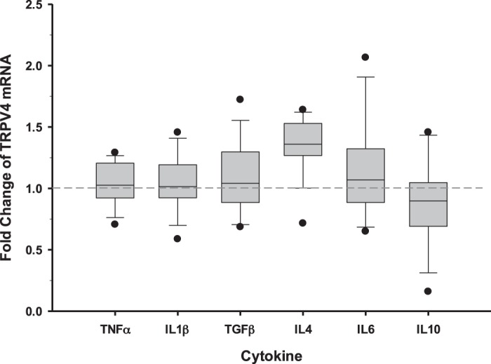 Fig. 10.