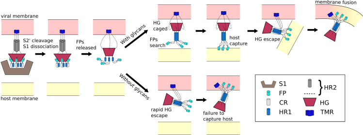 Figure 6.