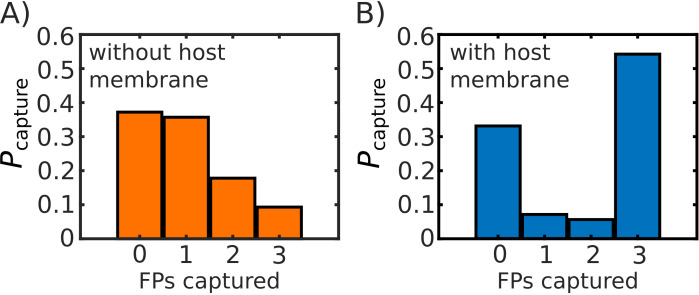 Appendix 1—figure 8.