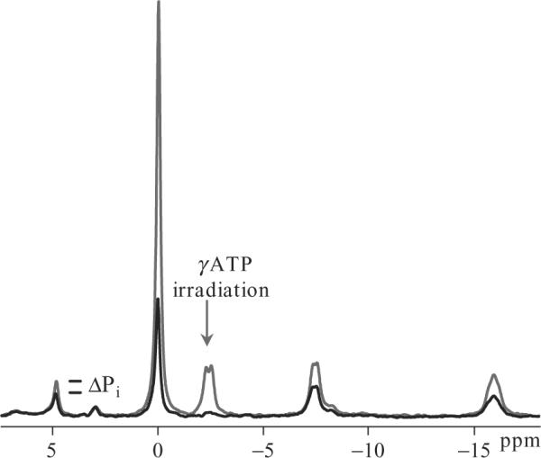 Figure 21.3