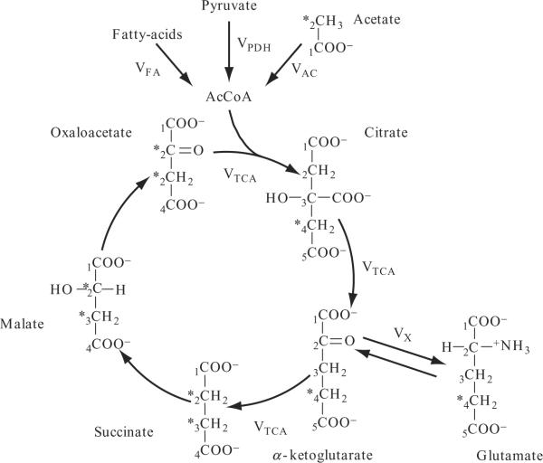 Figure 21.4