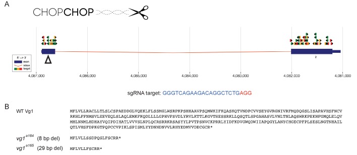 Figure 1—figure supplement 1.