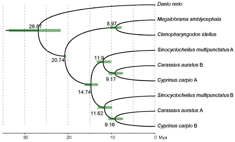 Figure 7