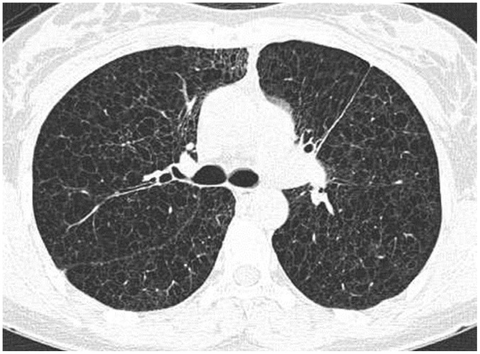 Fig. 7