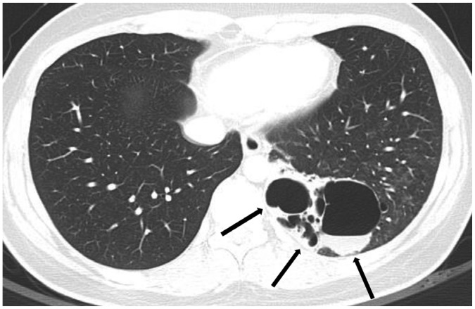 Fig. 5
