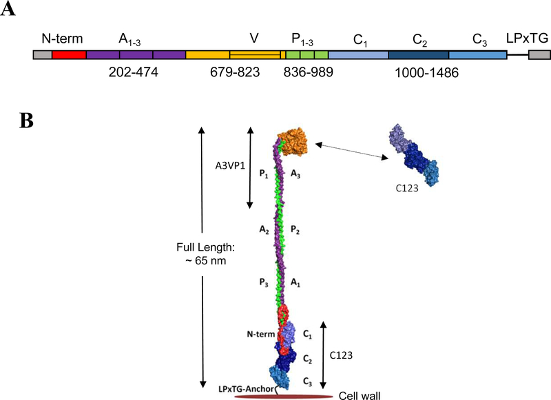 Fig. 1: