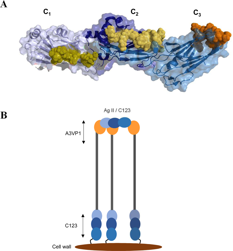 Fig. 9: