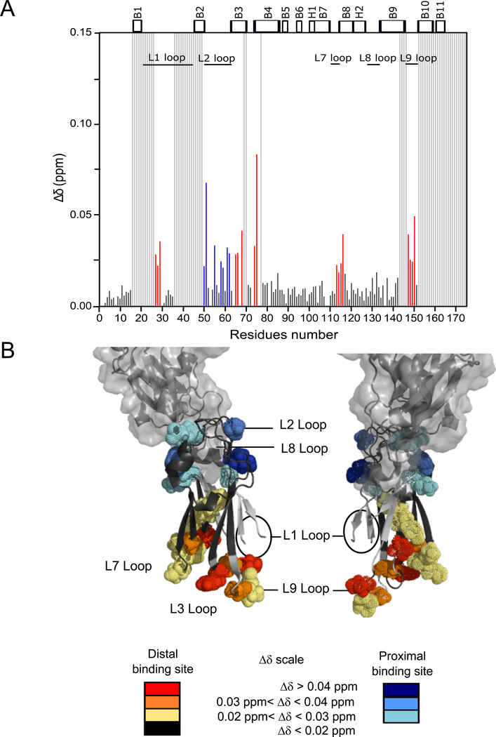 Fig. 7: