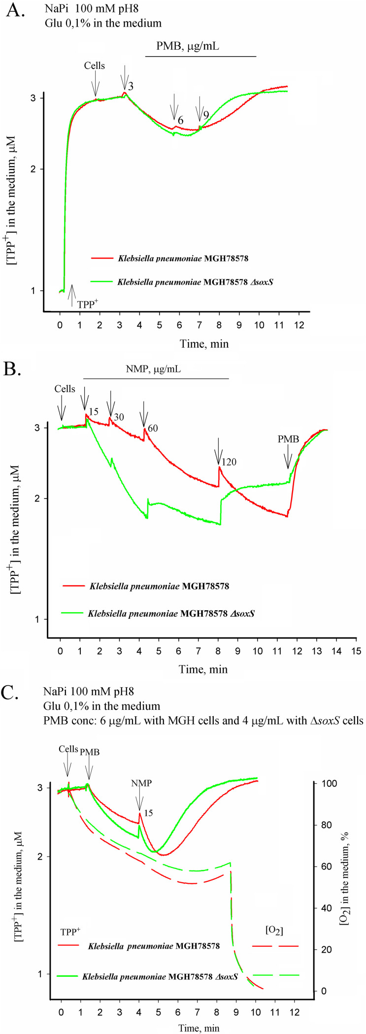 FIG 3