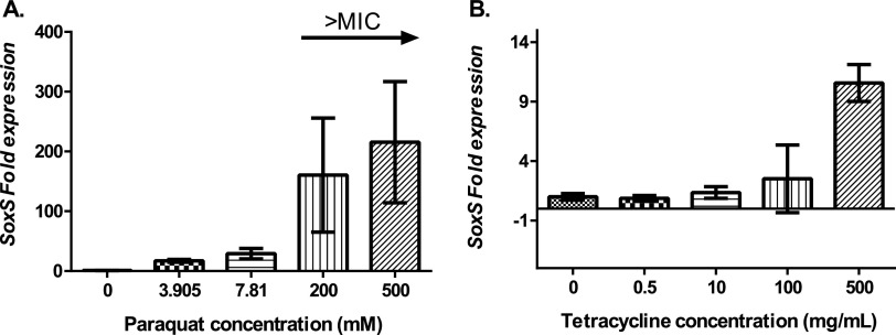 FIG 2