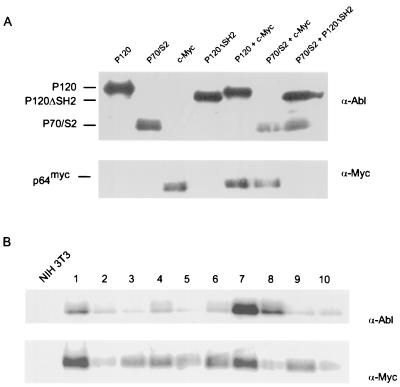 FIG. 8