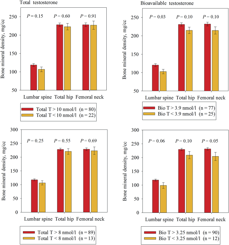 Bioavailable Testosterone Is Positively Associated With Bone Mineral ...