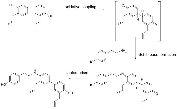 Scheme 1