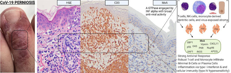 Fig 23