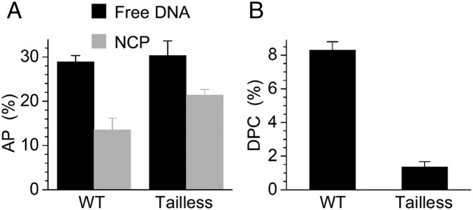 Fig. 5.