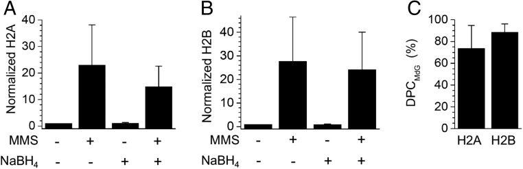 Fig. 7.