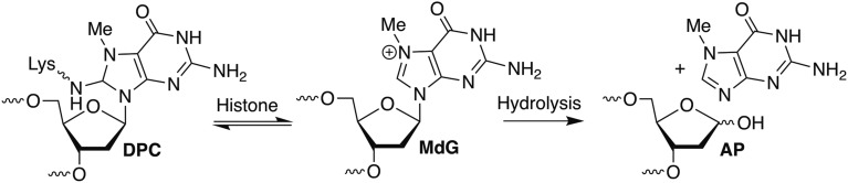 Scheme 1.