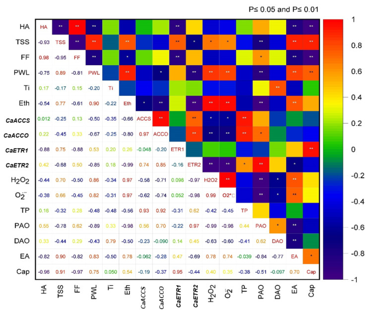 Figure 13