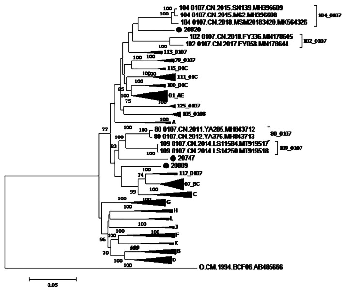 Fig. 1