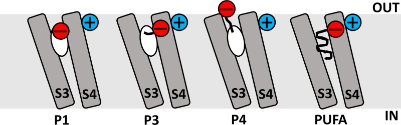 Figure 12.