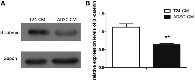 FIG. 5.