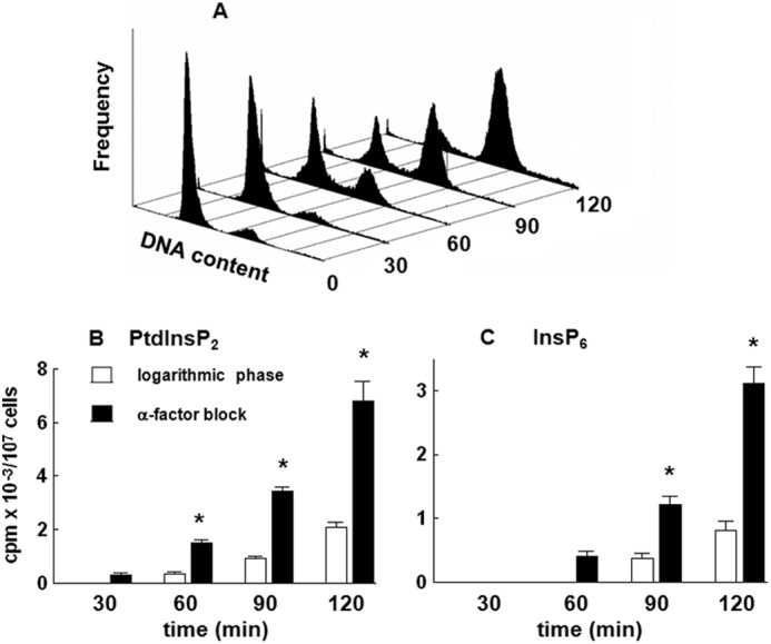 FIGURE 2.