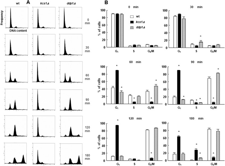 FIGURE 10.