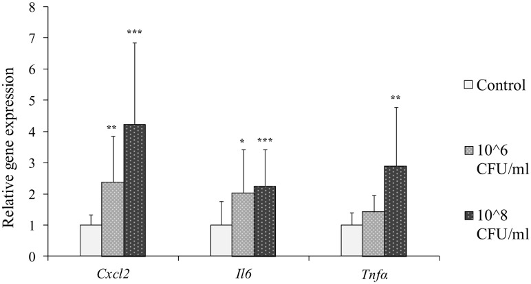 Fig 2