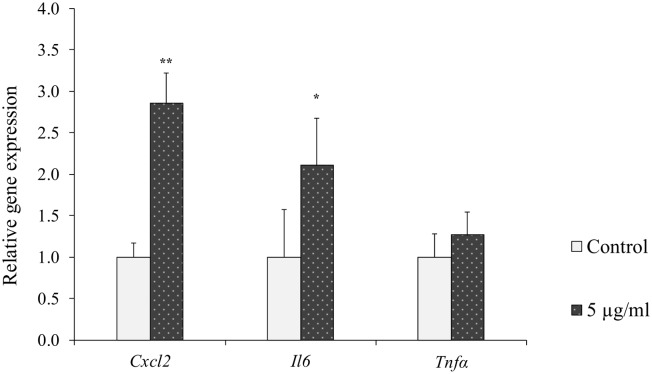 Fig 4