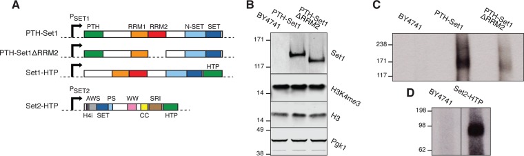 FIG 1