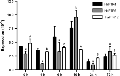 Fig. 6.