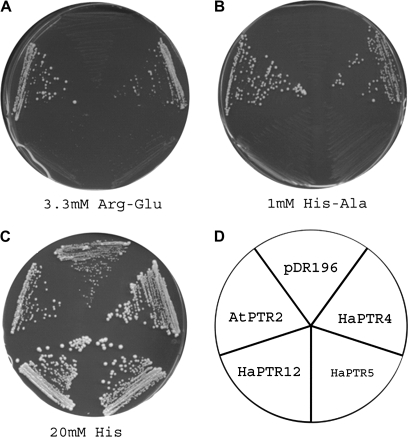 Fig. 5.