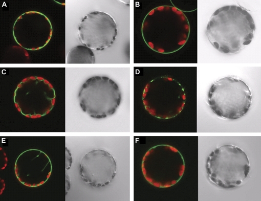 Fig. 4.