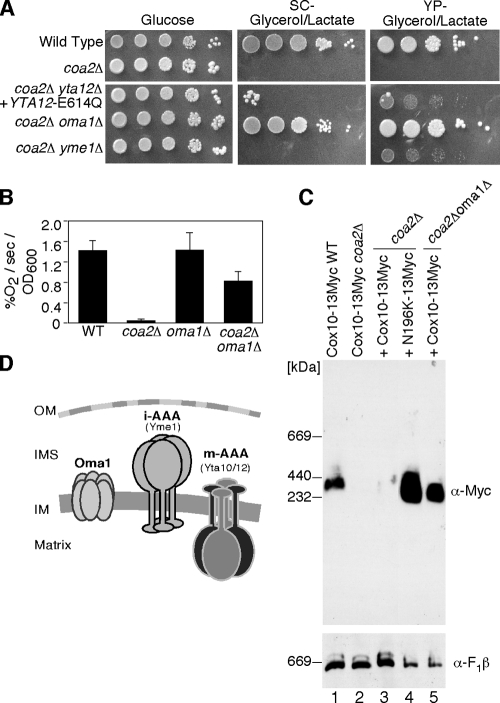 FIG. 8.