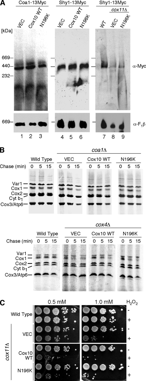 FIG. 3.