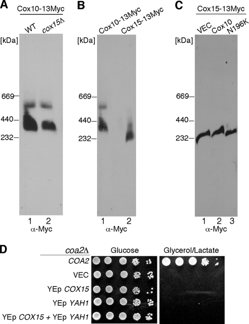 FIG. 6.