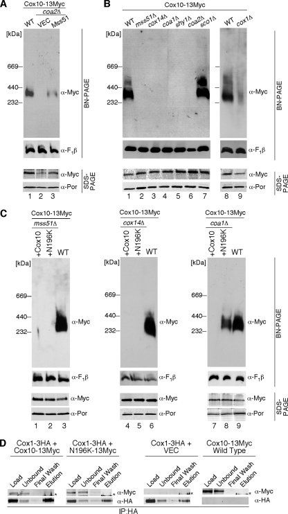 FIG. 7.