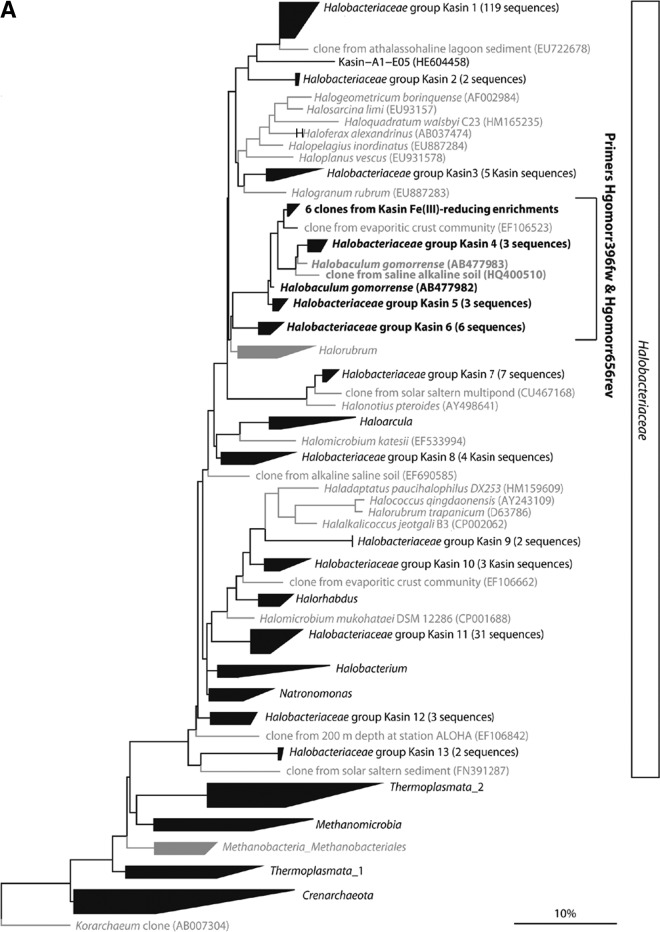 Fig 5