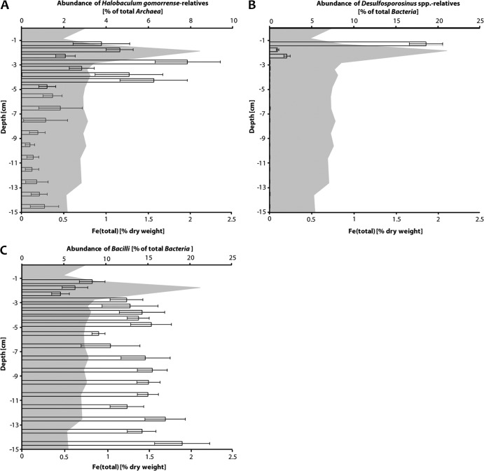 Fig 6