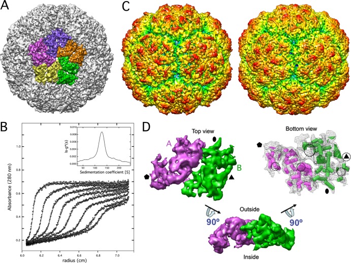 Fig 1