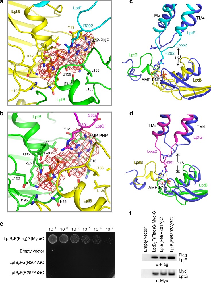 Fig. 6