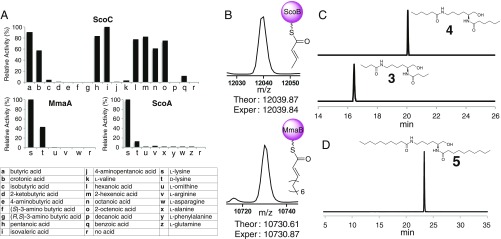 Fig. 4.