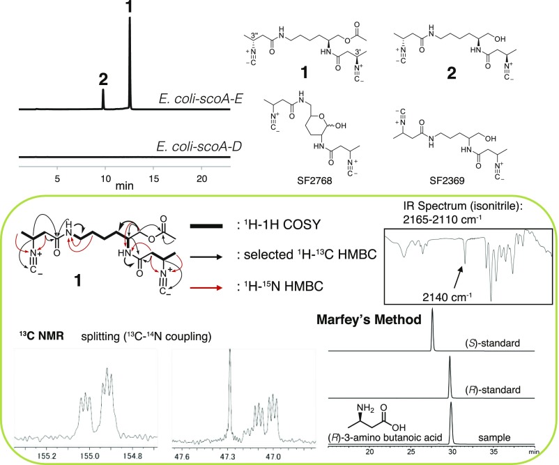 Fig. 2.