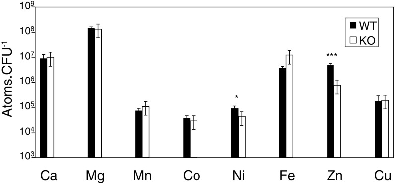 Fig. 6.