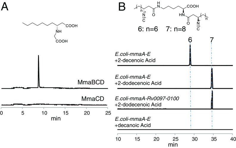 Fig. 5.