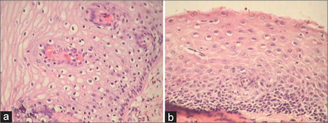 Figure 23: