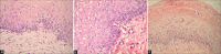 Figure 28: