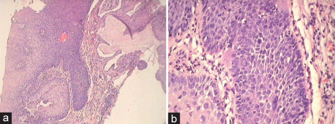 Figure 3: