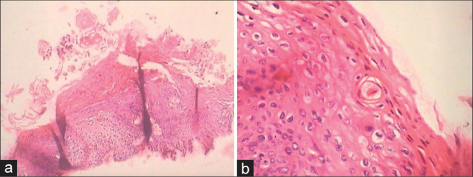 Figure 12: